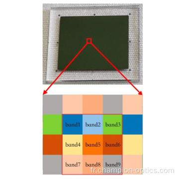 Niveau pixel (mosaïque) Filtre multicanal de 450-570 nm